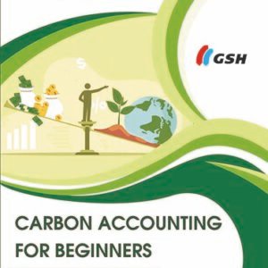 Carbon Accounting for Beginners